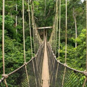 Freedom Walk Package - Ghana